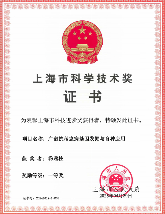 1758682537.png 图片.png