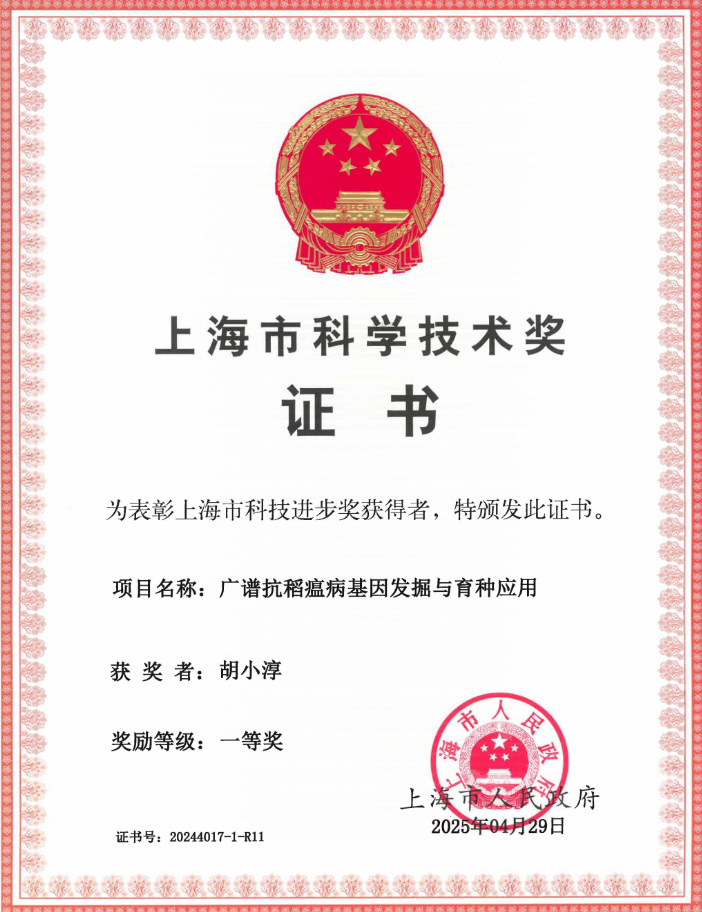 1758682566.png 图片.png