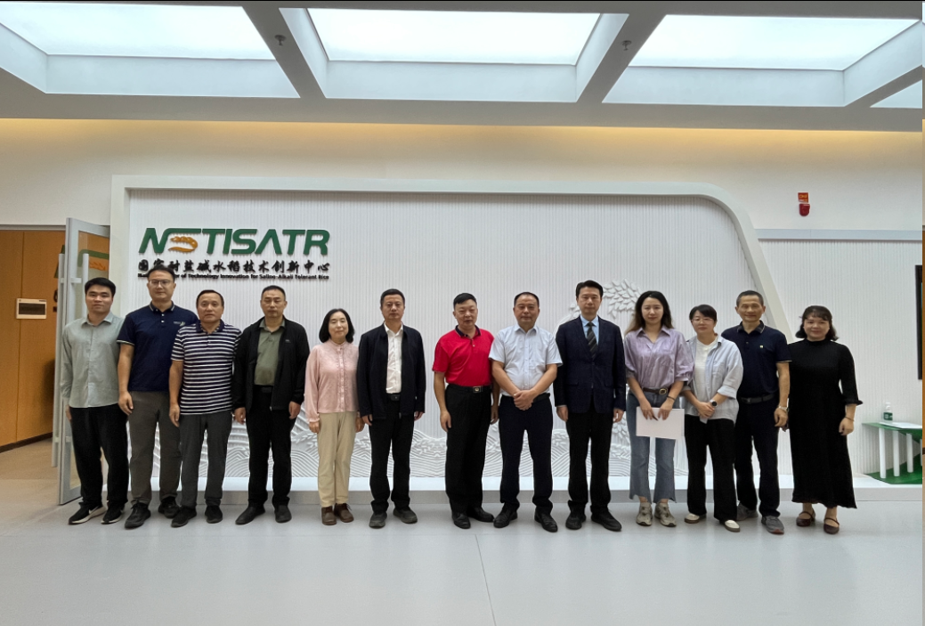 1764320992.png 图片.png